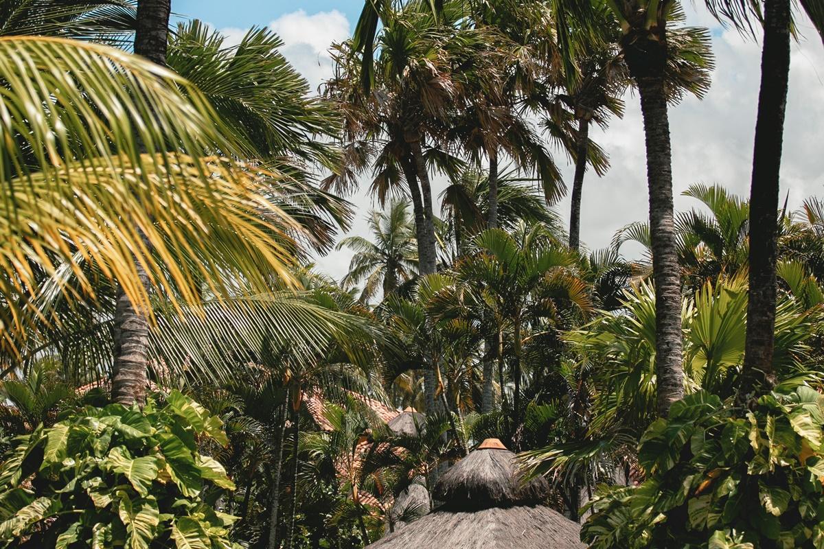 Ocapora Hotel All Inclusive Porto de Galinhas Ngoại thất bức ảnh